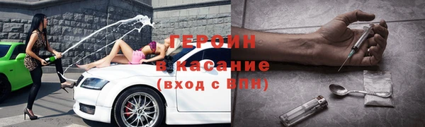 гашик Богданович