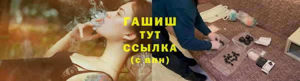 гашик Богданович