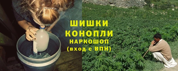 гашик Богданович