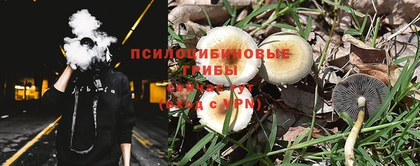 винт Бронницы